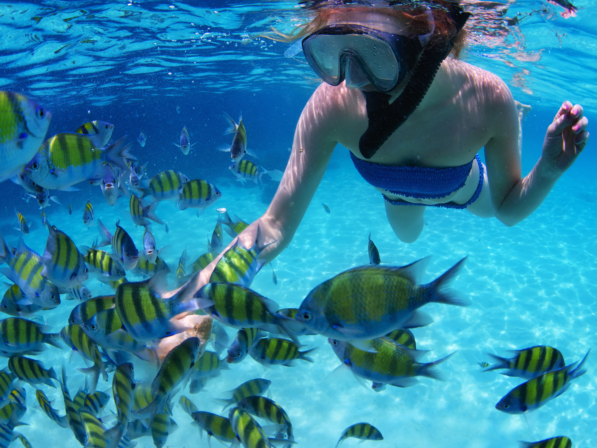 snorkeler-with-fish Cancun
