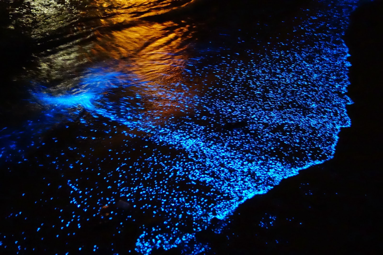 Playa bioluminiscente holbox