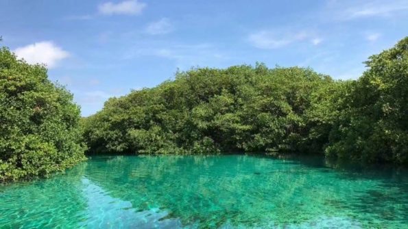 Laguna Manati area natural protegida de Quintana Roo