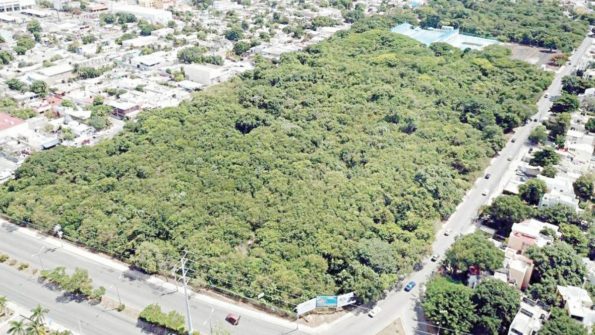 Ombligo verde area natural de Quintana roo