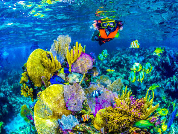 Parque Nacional Arrecife de Coral de Puerto Morelos snorkel