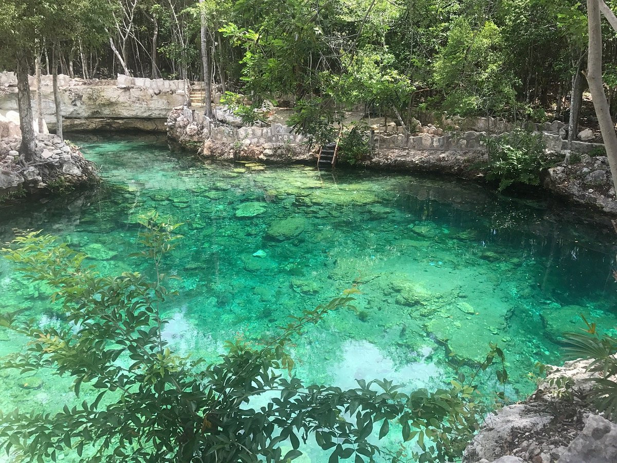 Casa Tortuga Cenote in the Riviera Maya surrounded by jungle and eco-tourism experiences
