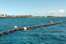 Sargassum barrier installed in Cancun to prevent seaweed from reaching the beach